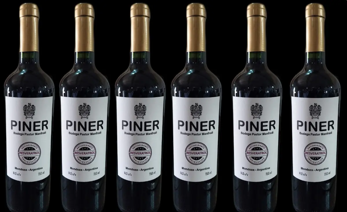 PINER Pack 6 botellas