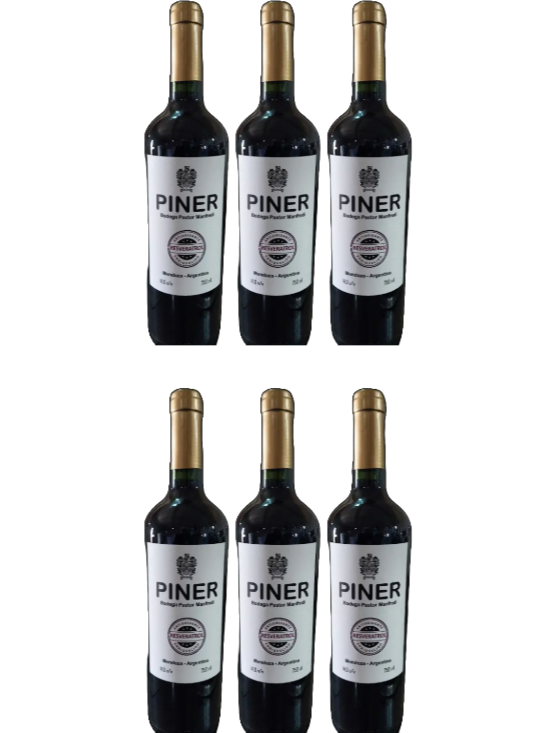 PINER Pack 6 botellas